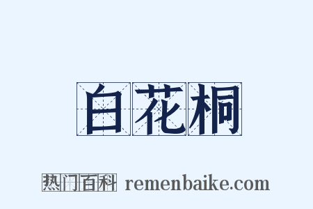 白花桐是什么意思的图片